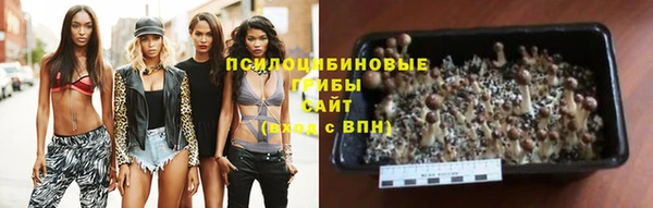 дмт Лагань