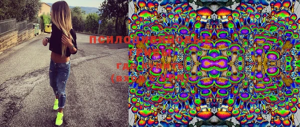 дмт Лагань