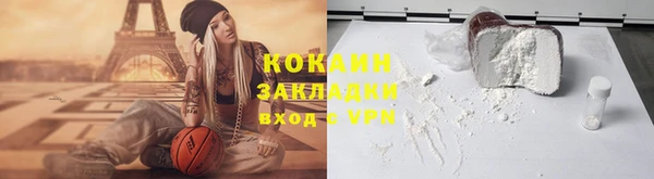 дмт Лагань