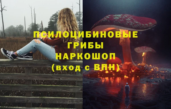 PSILOCYBIN Куйбышев