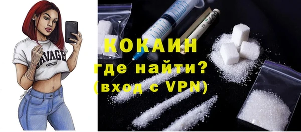 твердый Кулебаки
